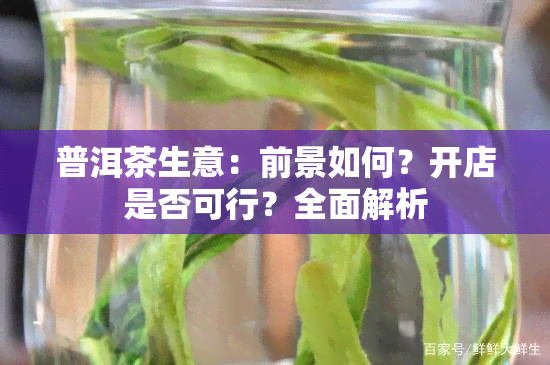 普洱茶生意：前景如何？开店是否可行？全面解析