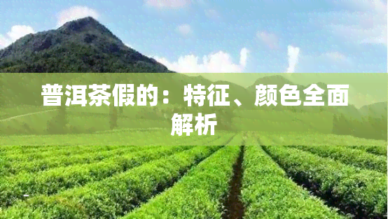 普洱茶假的：特征、颜色全面解析