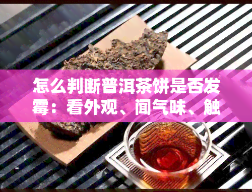 怎么判断普洱茶饼是否发霉：看外观、闻气味、触摸表面，全面了解茶叶质量