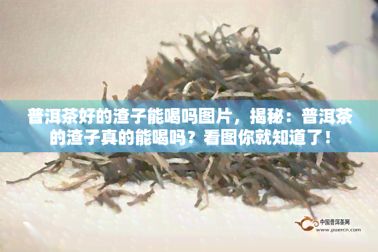 普洱茶好的渣子能喝吗图片，揭秘：普洱茶的渣子真的能喝吗？看图你就知道了！