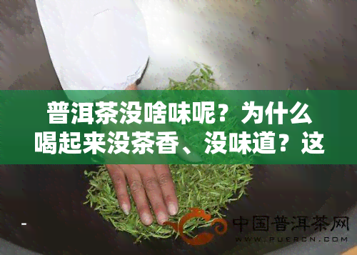 普洱茶没啥味呢？为什么喝起来没茶香、没味道？这是好还是坏？