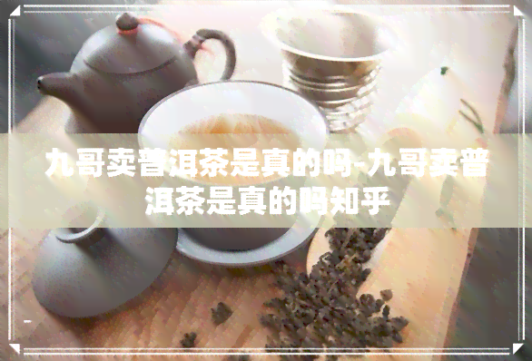 九哥卖普洱茶是真的吗-九哥卖普洱茶是真的吗知乎