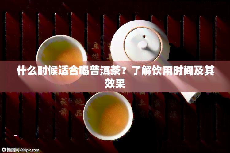 什么时候适合喝普洱茶？了解饮用时间及其效果