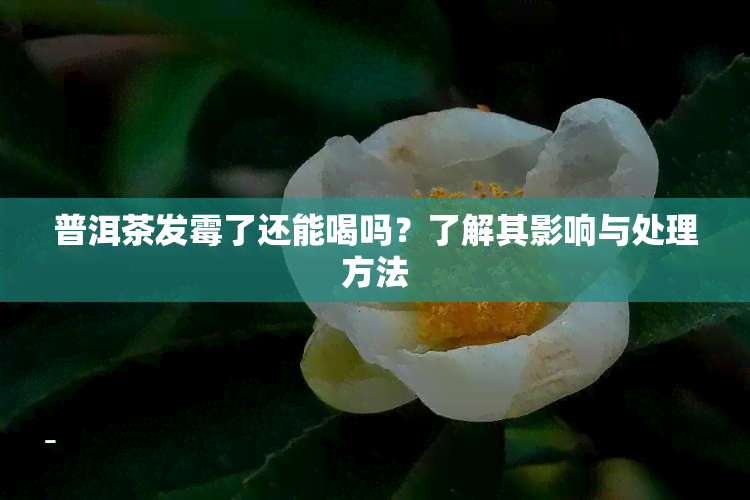 普洱茶发霉了还能喝吗？了解其影响与处理方法