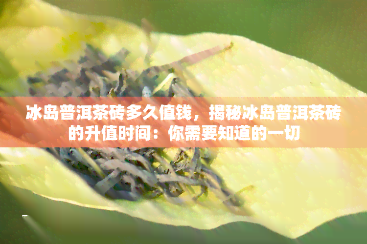 冰岛普洱茶砖多久值钱，揭秘冰岛普洱茶砖的升值时间：你需要知道的一切