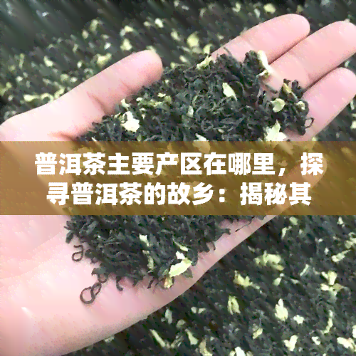 普洱茶主要产区在哪里，探寻普洱茶的故乡：揭秘其主要产区