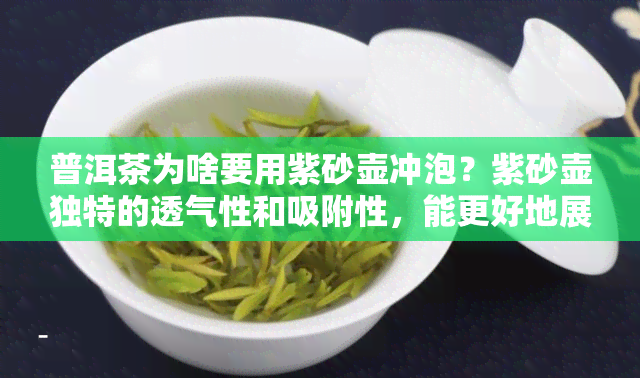 普洱茶为啥要用紫砂壶冲泡？紫砂壶独特的透气性和吸附性，能更好地展现普洱茶的韵味和品质。