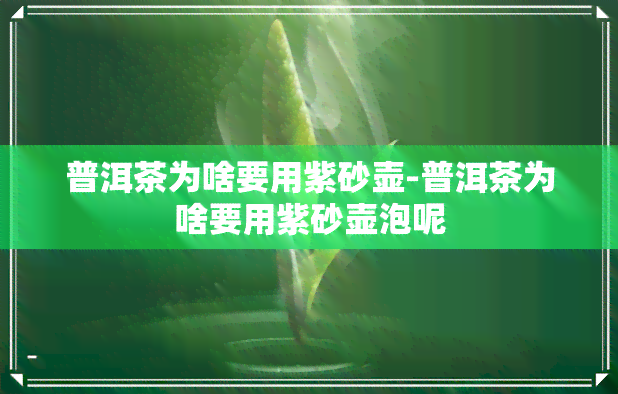 普洱茶为啥要用紫砂壶-普洱茶为啥要用紫砂壶泡呢