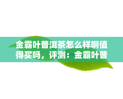 金霸叶普洱茶怎么样啊值得买吗，评测：金霸叶普洱茶的口感与品质，是否值得购买？