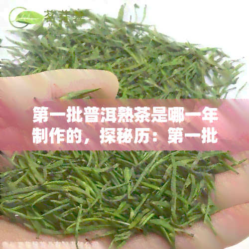 之一批普洱熟茶是哪一年制作的，探秘历：之一批普洱熟茶的制作年份