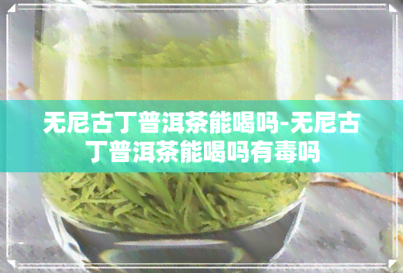 无尼古丁普洱茶能喝吗-无尼古丁普洱茶能喝吗有吗