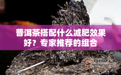 普洱茶搭配什么减肥效果好？专家推荐的组合