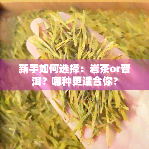 新手如何选择：岩茶or普洱？哪种更适合你？