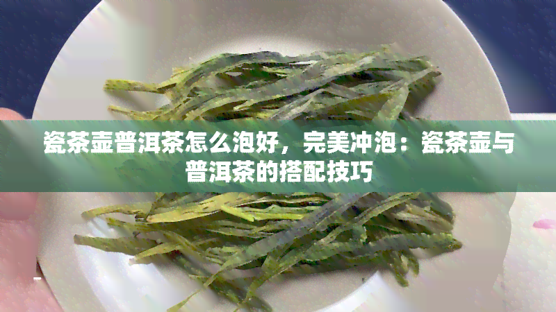 瓷茶壶普洱茶怎么泡好，完美冲泡：瓷茶壶与普洱茶的搭配技巧