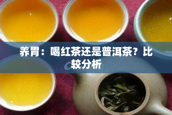 养胃：喝红茶还是普洱茶？比较分析