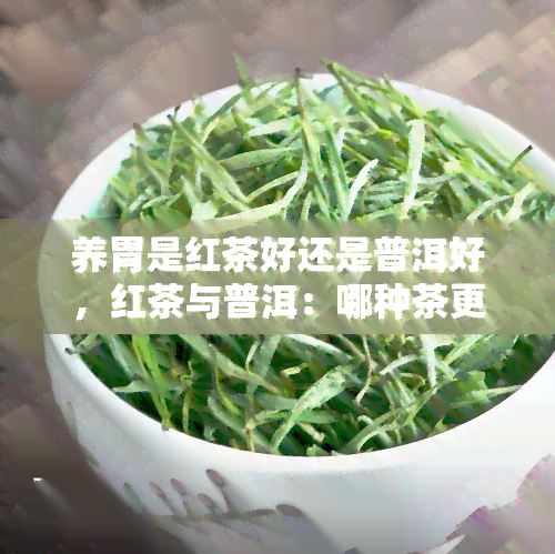 养胃是红茶好还是普洱好，红茶与普洱：哪种茶更适合养胃？