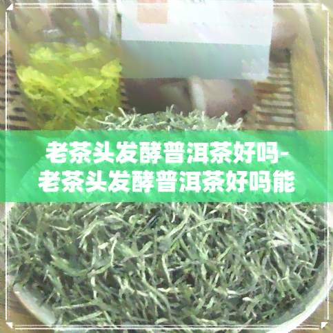 老茶头发酵普洱茶好吗-老茶头发酵普洱茶好吗能喝吗