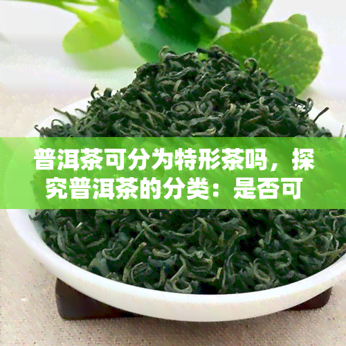 普洱茶可分为特形茶吗，探究普洱茶的分类：是否可以分为特形茶？