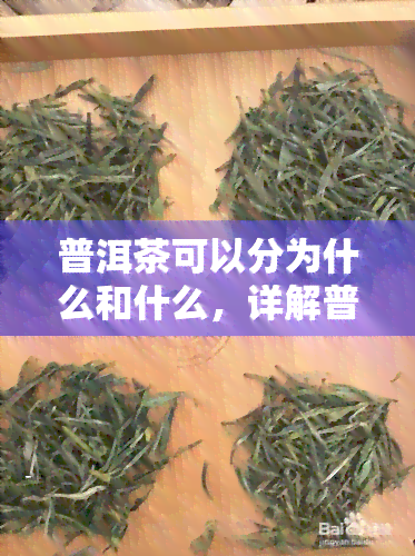 普洱茶可以分为什么和什么，详解普洱茶的分类：你知道它分为哪些种类吗？