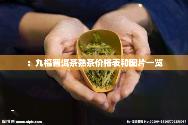 ：九福普洱茶熟茶价格表和图片一览