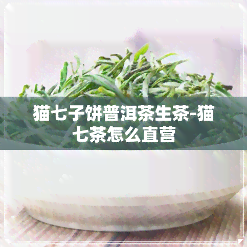 猫七子饼普洱茶生茶-猫七茶怎么直营