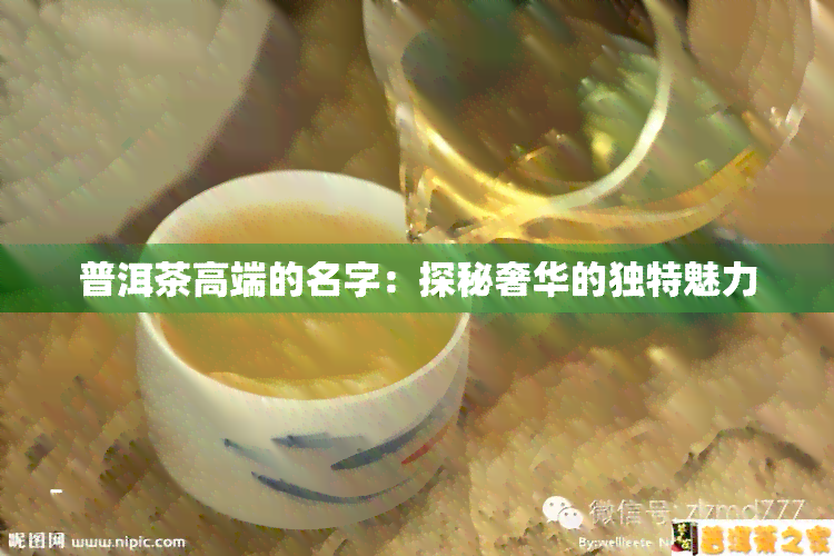 普洱茶高端的名字：探秘奢华的独特魅力