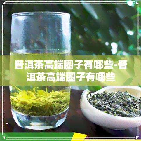 普洱茶高端圈子有哪些-普洱茶高端圈子有哪些