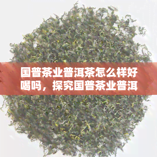 国普茶业普洱茶怎么样好喝吗，探究国普茶业普洱茶的口感与品质，它是否真的好喝呢？