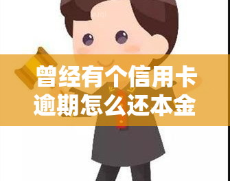 曾经有个信用卡逾期怎么还本金？全攻略