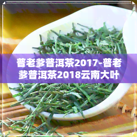 普老爹普洱茶2017-普老爹普洱茶2018云南大叶种晒青毛茶