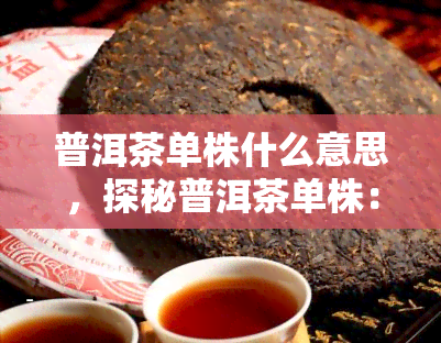 普洱茶单株什么意思，探秘普洱茶单株：了解这种独特茶叶的含义与特点