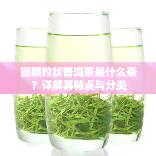 圆颗粒状普洱茶是什么茶？详解其特点与分类