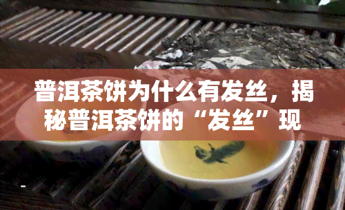 普洱茶饼为什么有发丝，揭秘普洱茶饼的“发丝”现象：原因解析与品鉴技巧