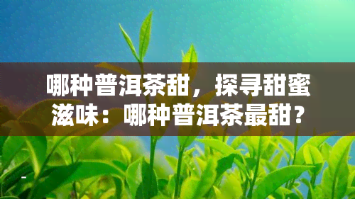 哪种普洱茶甜，探寻甜蜜滋味：哪种普洱茶最甜？