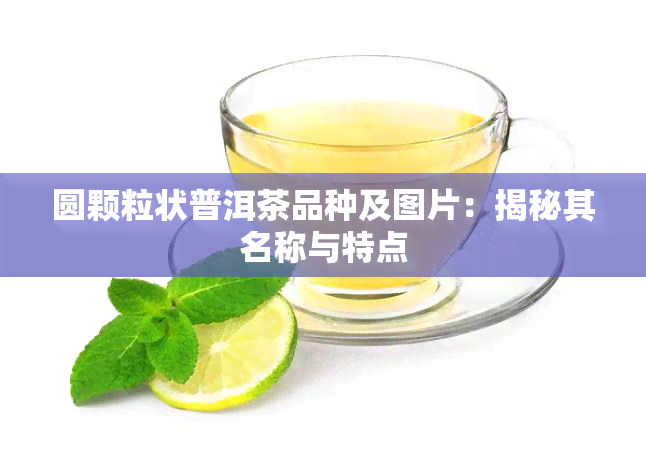 圆颗粒状普洱茶品种及图片：揭秘其名称与特点