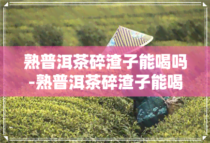 熟普洱茶碎渣子能喝吗-熟普洱茶碎渣子能喝吗有吗