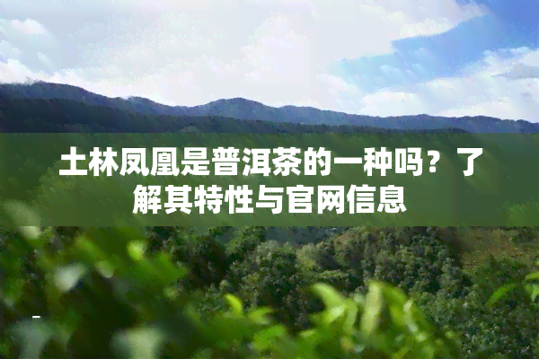 土林凤凰是普洱茶的一种吗？了解其特性与官网信息