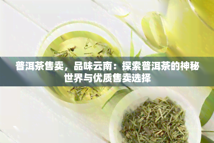 普洱茶售卖，品味云南：探索普洱茶的神秘世界与优质售卖选择