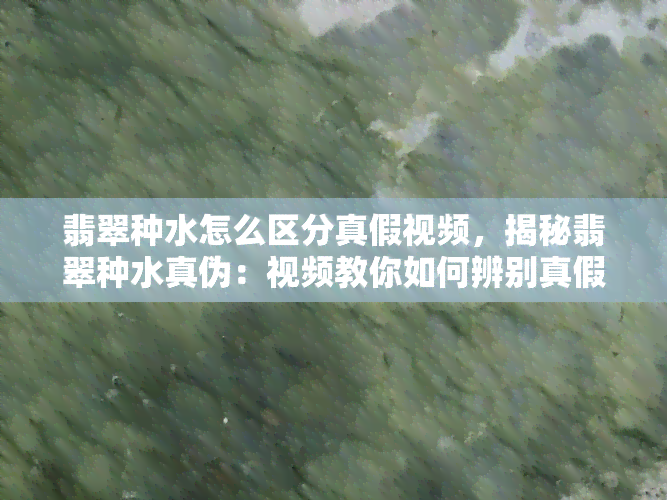 翡翠种水怎么区分真假视频，揭秘翡翠种水真伪：视频教你如何辨别真假