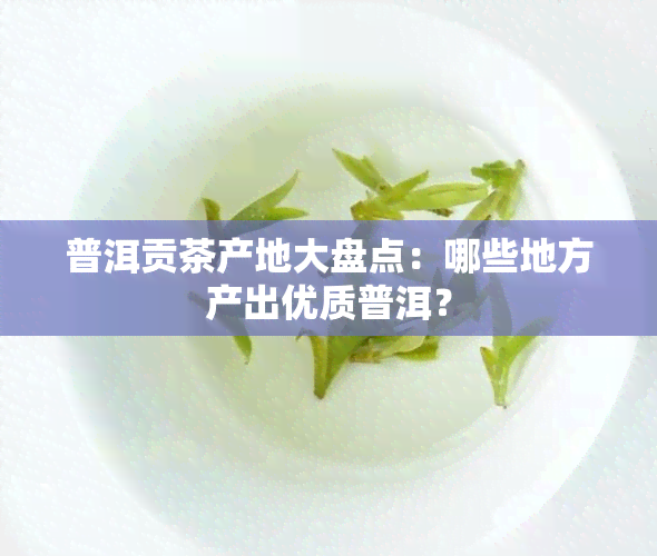 普洱贡茶产地大盘点：哪些地方产出优质普洱？