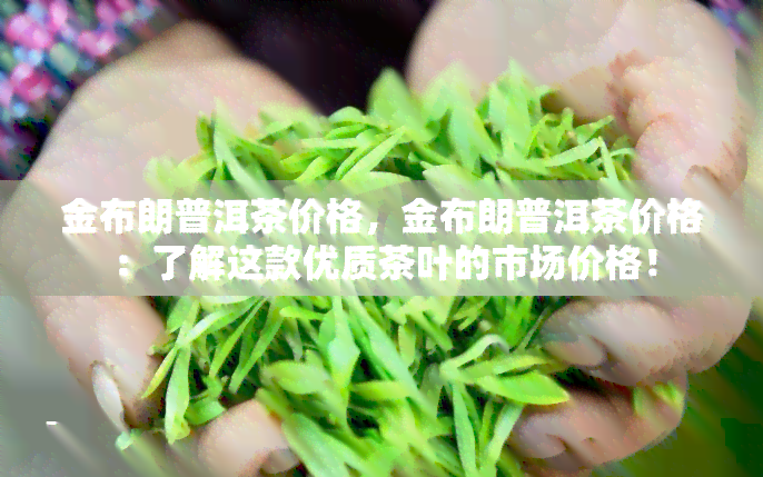 金布朗普洱茶价格，金布朗普洱茶价格：了解这款优质茶叶的市场价格！