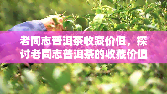 老同志普洱茶收藏价值，探讨老同志普洱茶的收藏价值：为什么这是一种值得投资的选择？