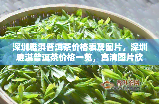 深圳雅淇普洱茶价格表及图片，深圳雅淇普洱茶价格一览，高清图片欣！