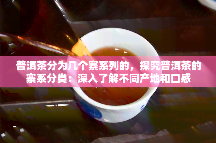 普洱茶分为几个寨系列的，探究普洱茶的寨系分类：深入了解不同产地和口感