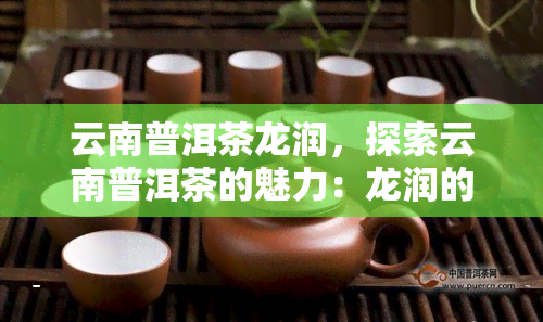 云南普洱茶龙润，探索云南普洱茶的魅力：龙润的传说与故事