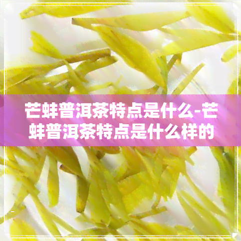 芒蚌普洱茶特点是什么-芒蚌普洱茶特点是什么样的