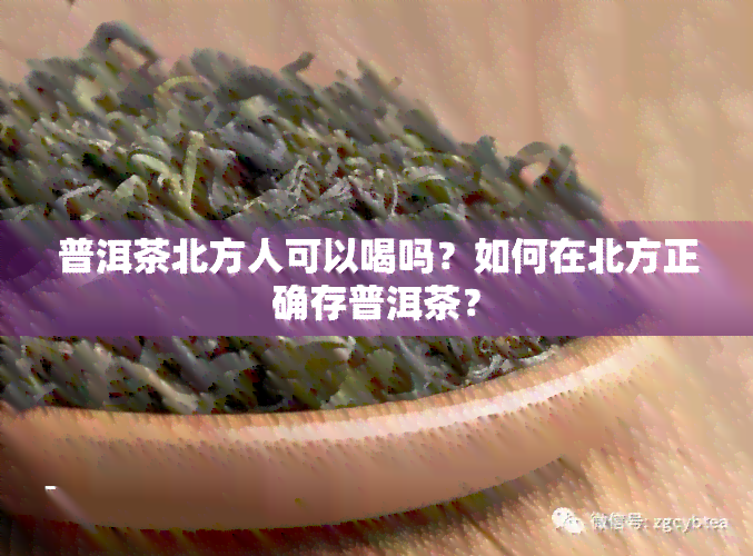 普洱茶北方人可以喝吗？如何在北方正确存普洱茶？