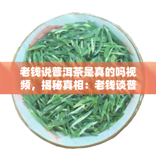 老钱说普洱茶是真的吗视频，揭秘真相：老钱谈普洱茶真伪，视频解析