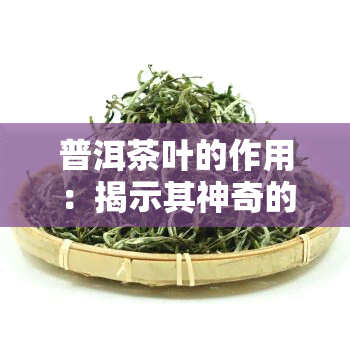 普洱茶叶的作用：揭示其神奇的功效与好处