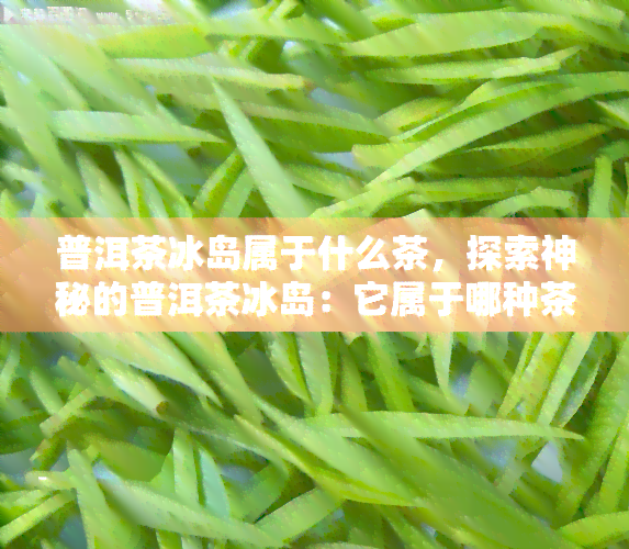 普洱茶冰岛属于什么茶，探索神秘的普洱茶冰岛：它属于哪种茶？